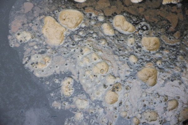 dirty sludge due to fuel contaminants