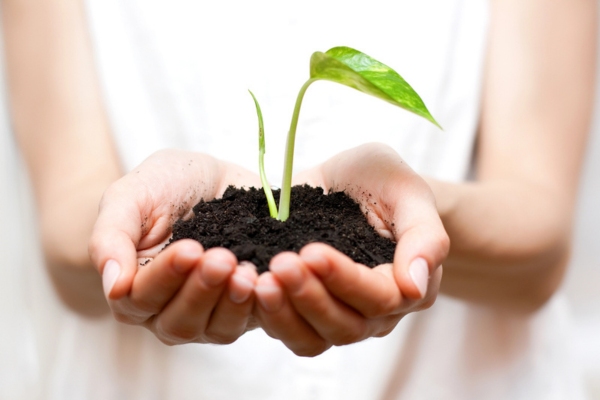 woman holding plant sprout on soil depicting Environmentally Responsible Propane