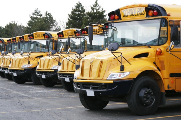 school buses parked in a row